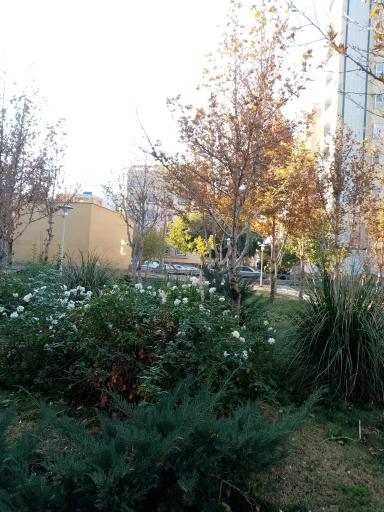 عکس 8 — پارک مهربانی