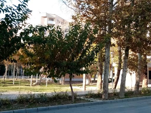 عکس 9 — پارک مهربانی