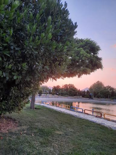 عکس 7 — دریاچه پارک ملت