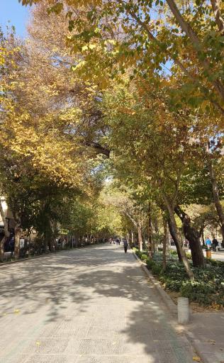 عکس 3 — چهار باغ عباسی