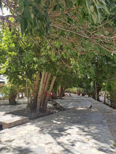 عکس 10 — بوستان سرچشمه سرابان