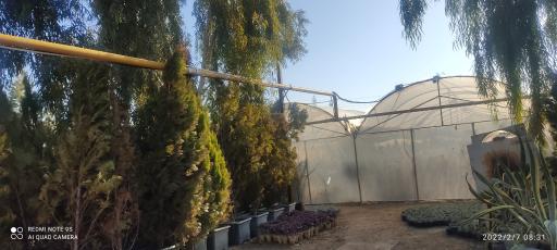 عکس 2 — گلخانه باغ فدک کاشان