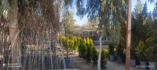 عکس 3 — گلخانه باغ فدک کاشان
