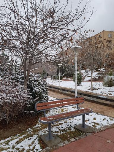 عکس 5 — مادی خونین