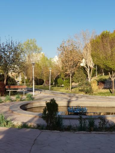 عکس 6 — مادی خونین