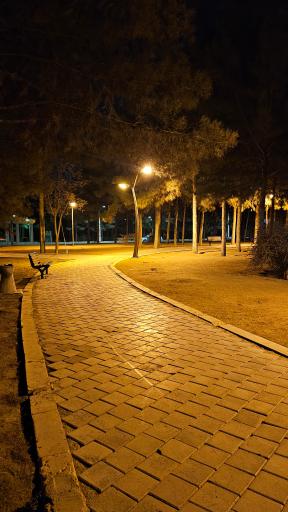 عکس 2 — پارک بنفشه