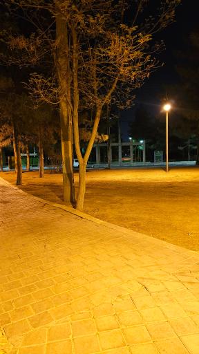عکس 3 — پارک بنفشه