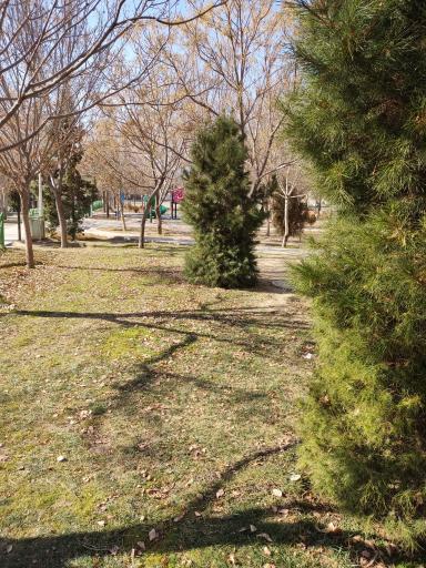 عکس 2 — بوستان بهار
