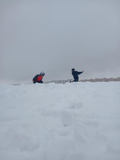 پارک بهارستان