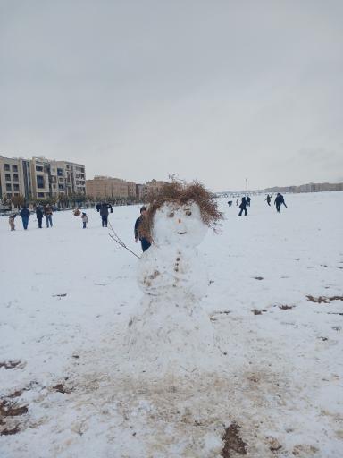 عکس 3 — پارک بهارستان