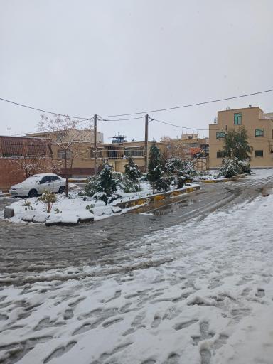 عکس 6 — پارک بهارستان