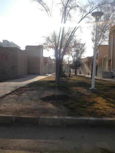 فضای سبز نگارستان