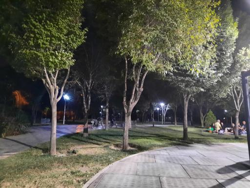 عکس 2 — بوستان گل مریم