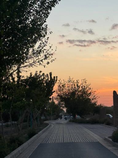 عکس 9 — بوستان زندگی