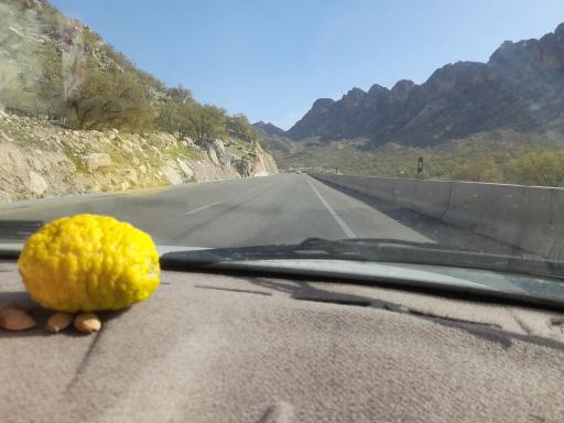 عکس 5 — پارک کوهستان