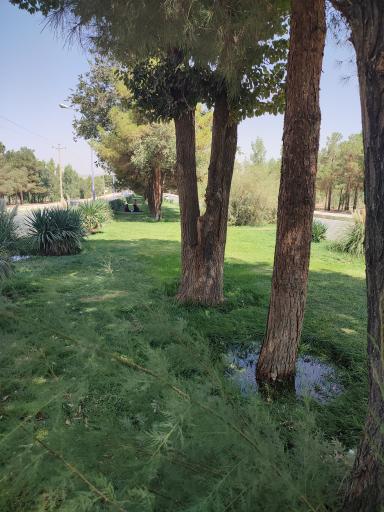 عکس 8 — پارک کوهستان