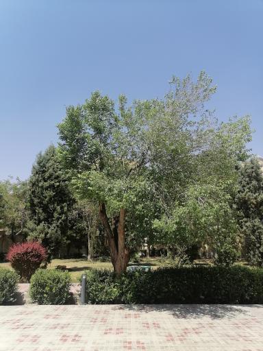 عکس 10 — بوستان بهشت