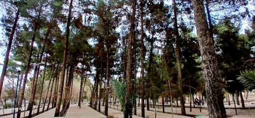 عکس 4 — بوستان شهید بهشتی