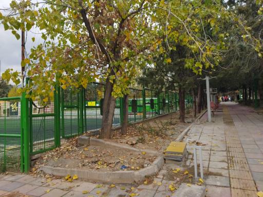 بوستان باران