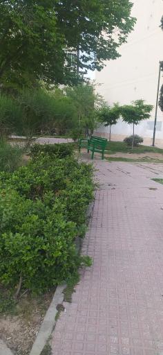 عکس 4 — بوستان شمس آباد