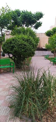عکس 3 — پارک پویش