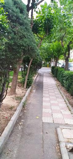 عکس 4 — پارک پویش