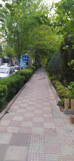 عکس 7 — بوستان ارکیده