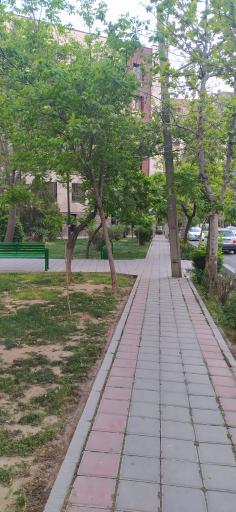 عکس 4 — بوستان نازک