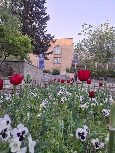 عکس 9 — بوستان صدف