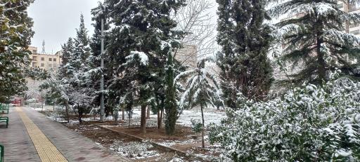عکس 5 — بوستان باغ رز