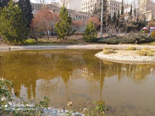 عکس 2 — بوستان تولد