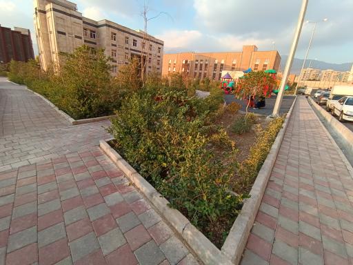 عکس 2 — بوستان رونیکا پالاس هروی