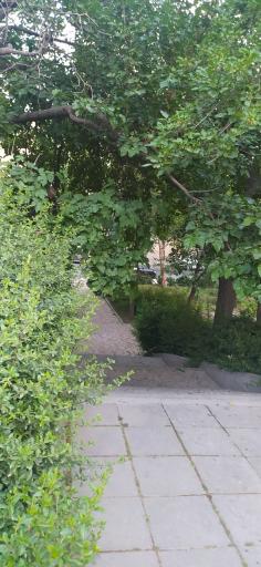 عکس 5 — پارک سخندان