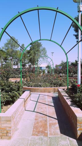 عکس 9 — بوستان پردیس هنر