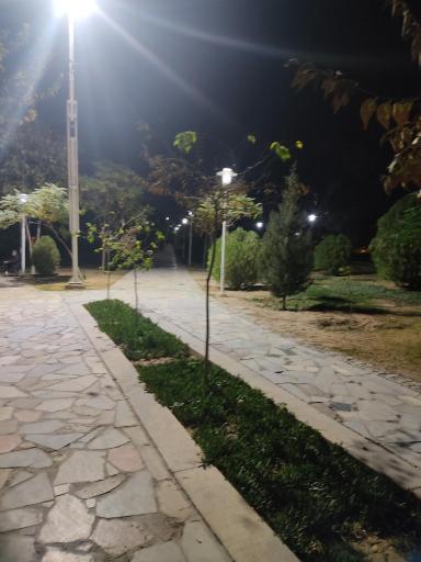 عکس 2 — پارک امیریه