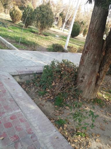 عکس 5 — پارک پروین اعتصامی