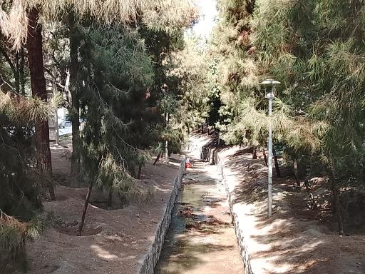 عکس 2 — مادی هفتون