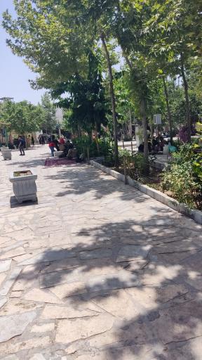 عکس 2 — باغ تالار