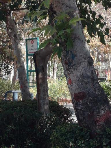 عکس 4 — بوستان تالار پارک شهدای ملکوتی