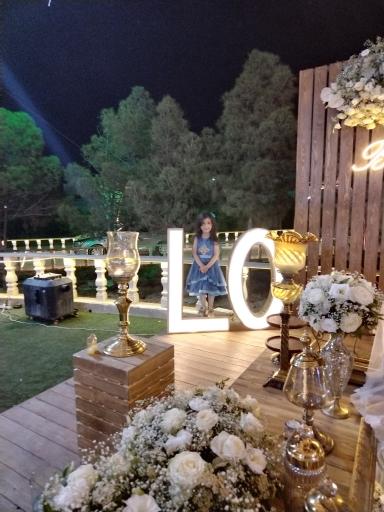 عکس 8 — باغ عمارت فیروزه