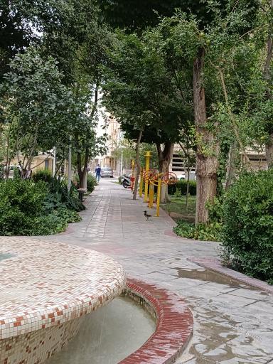 عکس 7 — پارک سروستان