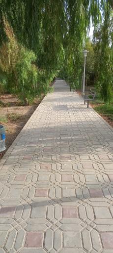 عکس 2 — بوستان توحید