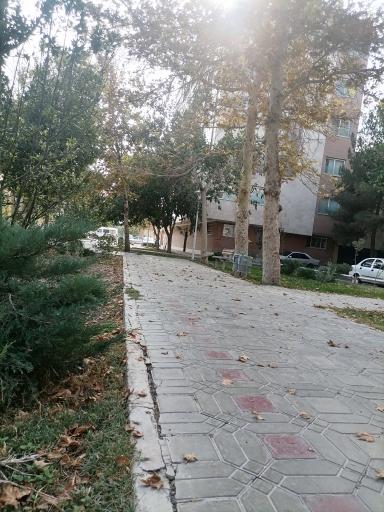 عکس 2 — پارک جانبازان