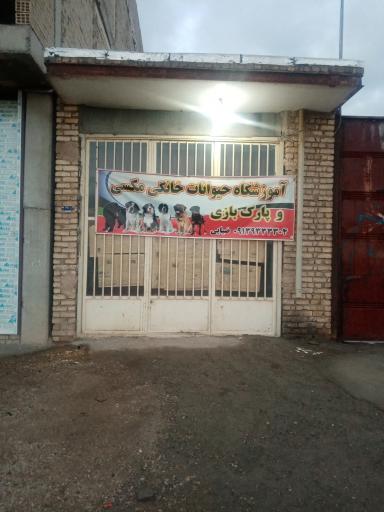 آموزشگاه حیوانات خانگی مکسی و پارک بازی