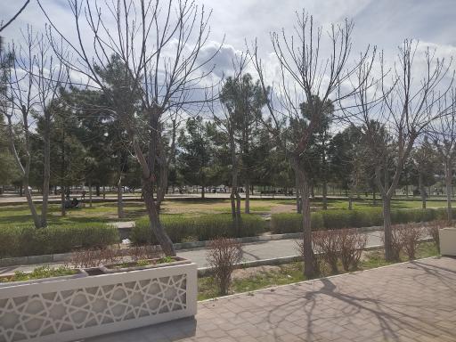 عکس 10 — پارک جوان