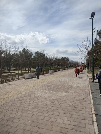 عکس 3 — پارک جوان