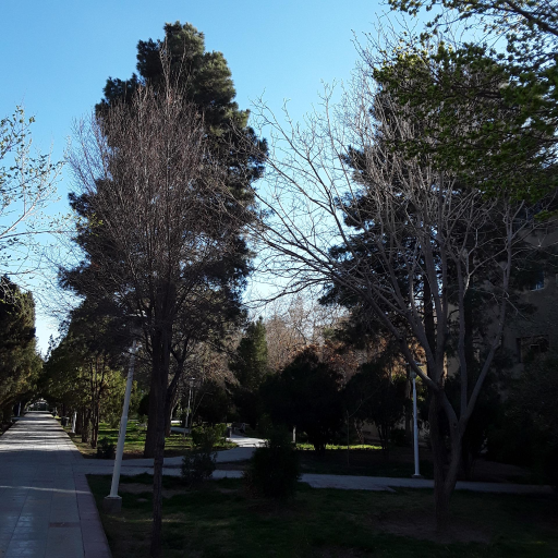 عکس 2 — بوستان باغ نوش