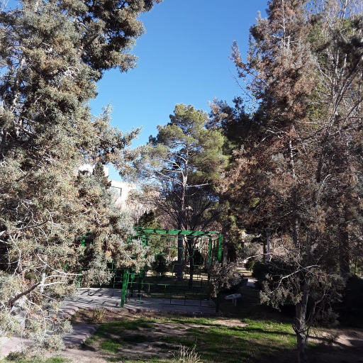 عکس 8 — بوستان باغ نوش