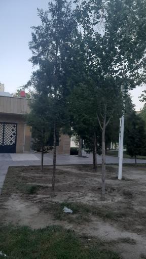 عکس 4 — پارک گلستانه