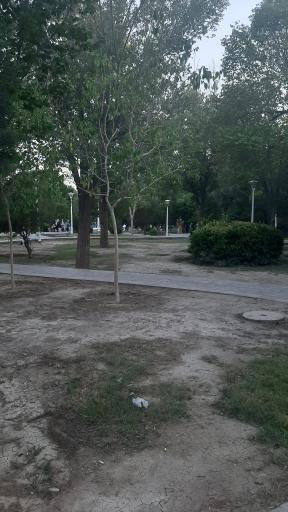 عکس 6 — پارک گلستانه